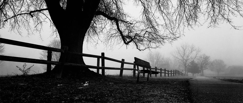 Banner images for Europe's most haunted places.